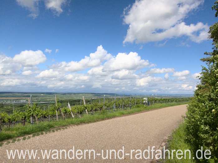 Blick ins Zabergäu