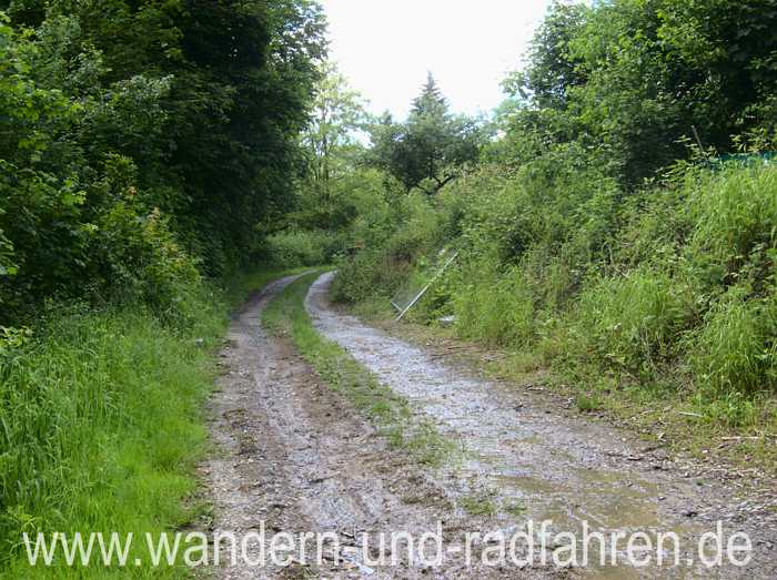 Weg entlang des Steinbachs