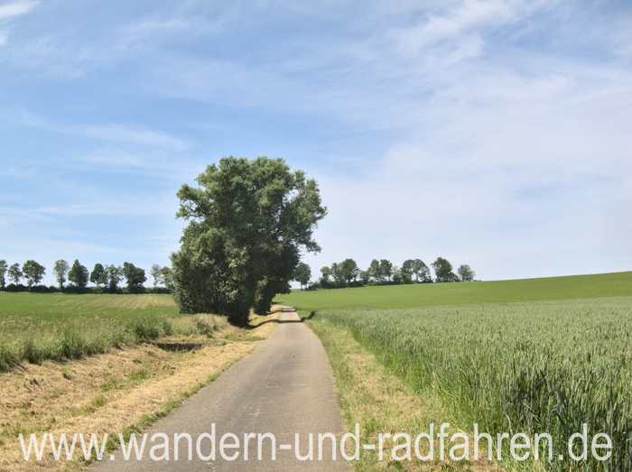 Feldweg