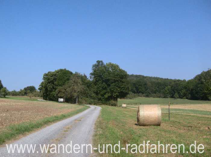 Spätsommer