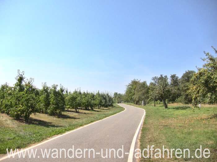Luxusweg
