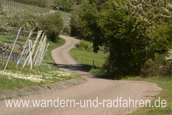 Weg