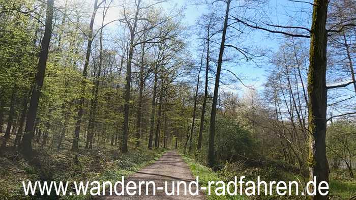 Gravelstrecke zum Bernhardsweier